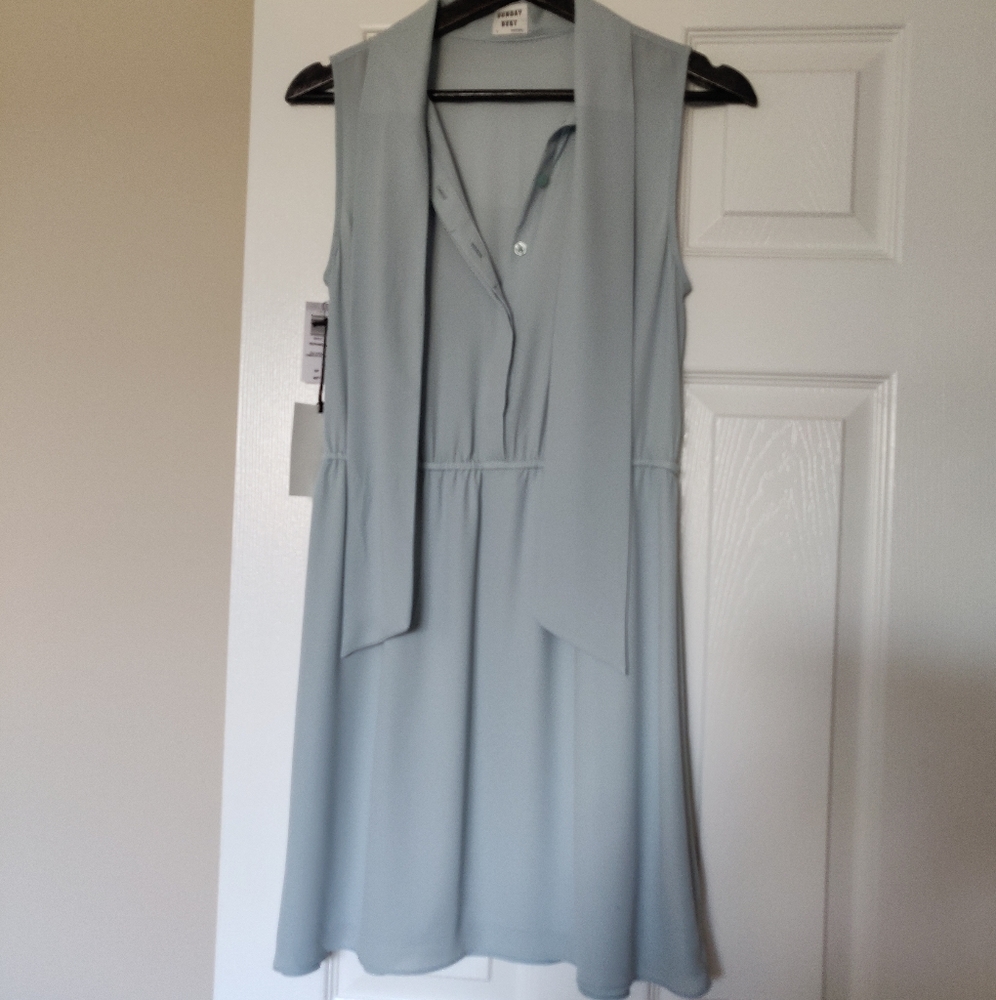 NWT Aritizia Sunday Best Veronica Dress (size small)